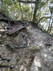 DSC_3478_thumb.png