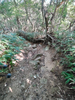 DSC_3486_thumb.png