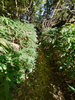 DSC_3490_thumb.png