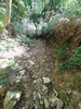 DSC_3495_thumb.png