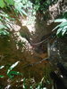 DSC_3512_thumb.png