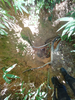 DSC_3515_thumb.png