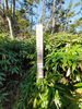DSC_3518_thumb.png