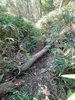 DSC_3527_thumb.png
