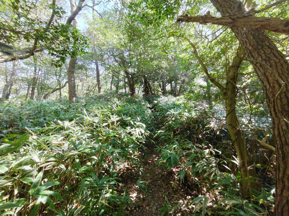 DSC_3548_mid.jpg