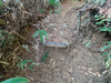 DSC_3555_thumb.png