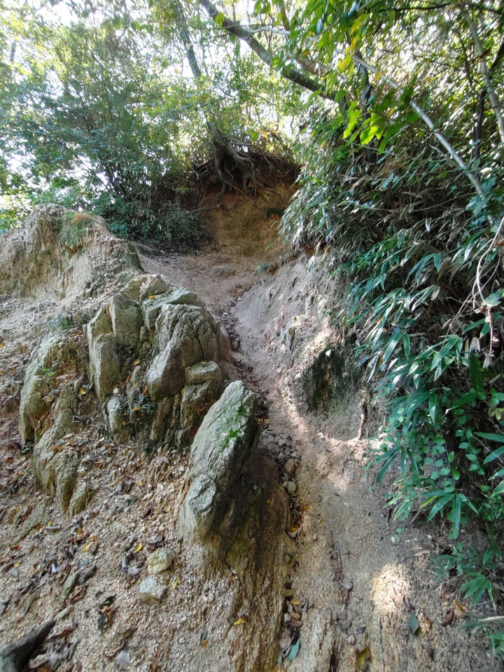 DSC_3562_mid.jpg