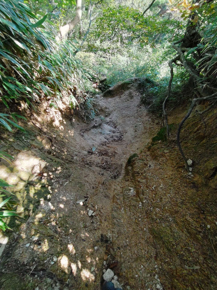 DSC_3564_mid.jpg