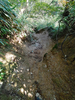 DSC_3564_thumb.png
