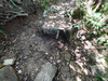 DSC_3565_thumb.png