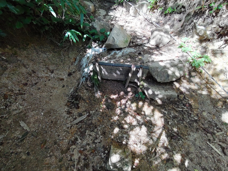 DSC_3567_mid.jpg