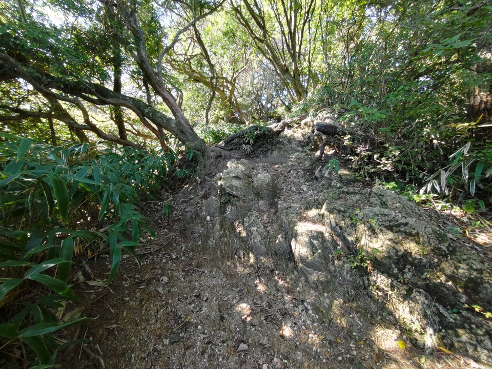 DSC_3569_mid.jpg