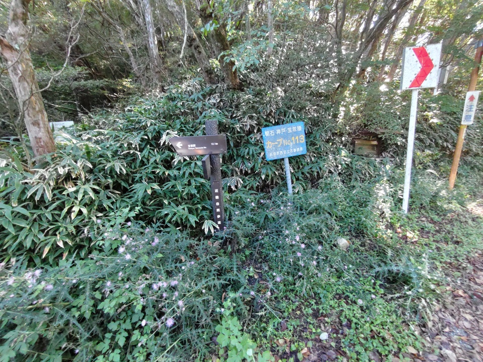 DSC_3571_mid.jpg