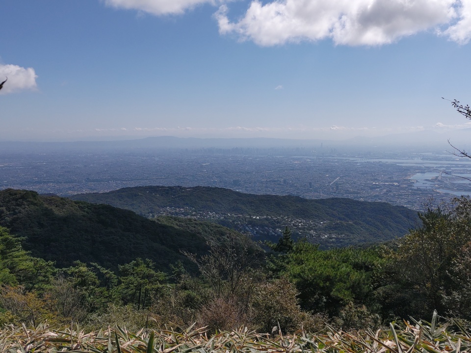 DSC_3575_mid.jpg