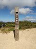 DSC_3582_thumb.png