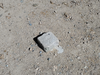 DSC_3584_thumb.png