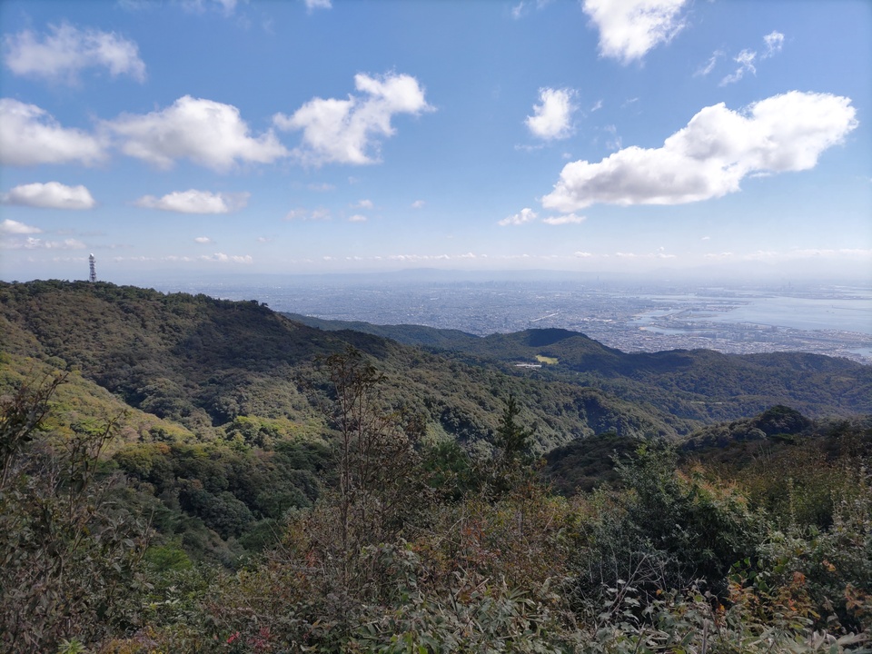 DSC_3598_mid.jpg