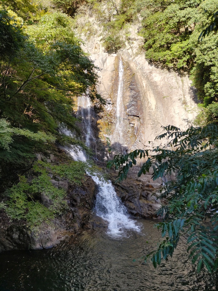 DSC_3634_mid.jpg