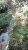 241103_103518_sh_thumb.png
