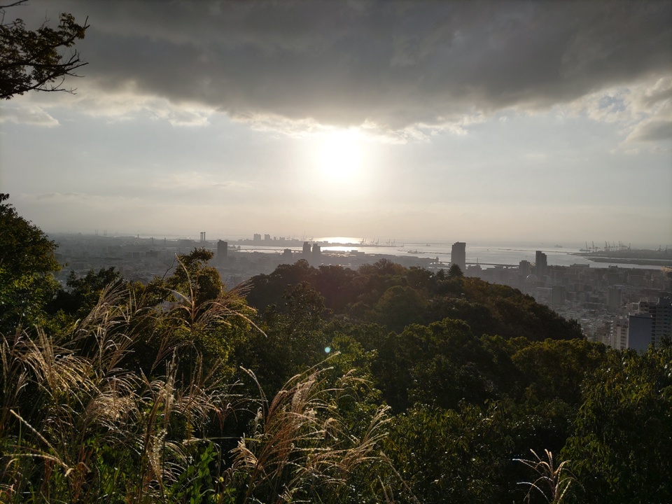 DSC_3700_mid.jpg