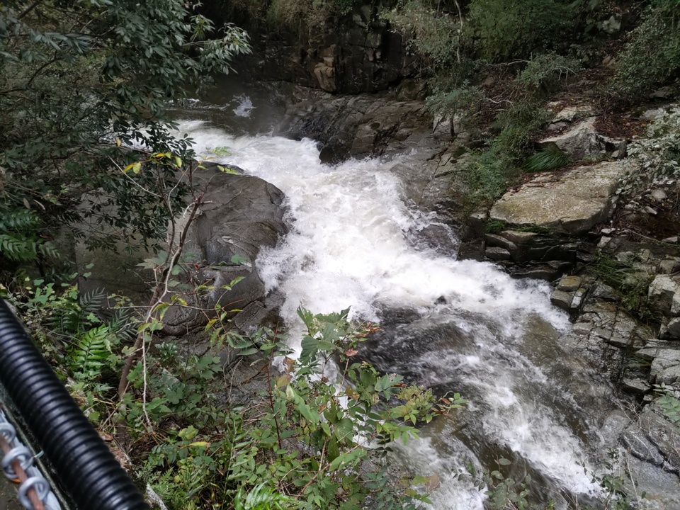 DSC_3705_mid.jpg