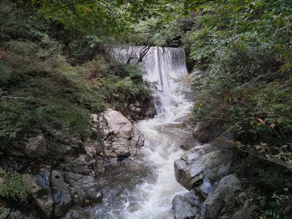 DSC_3708_mid.jpg