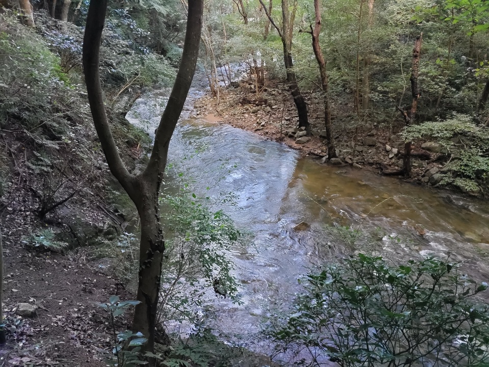 DSC_3709_mid.jpg