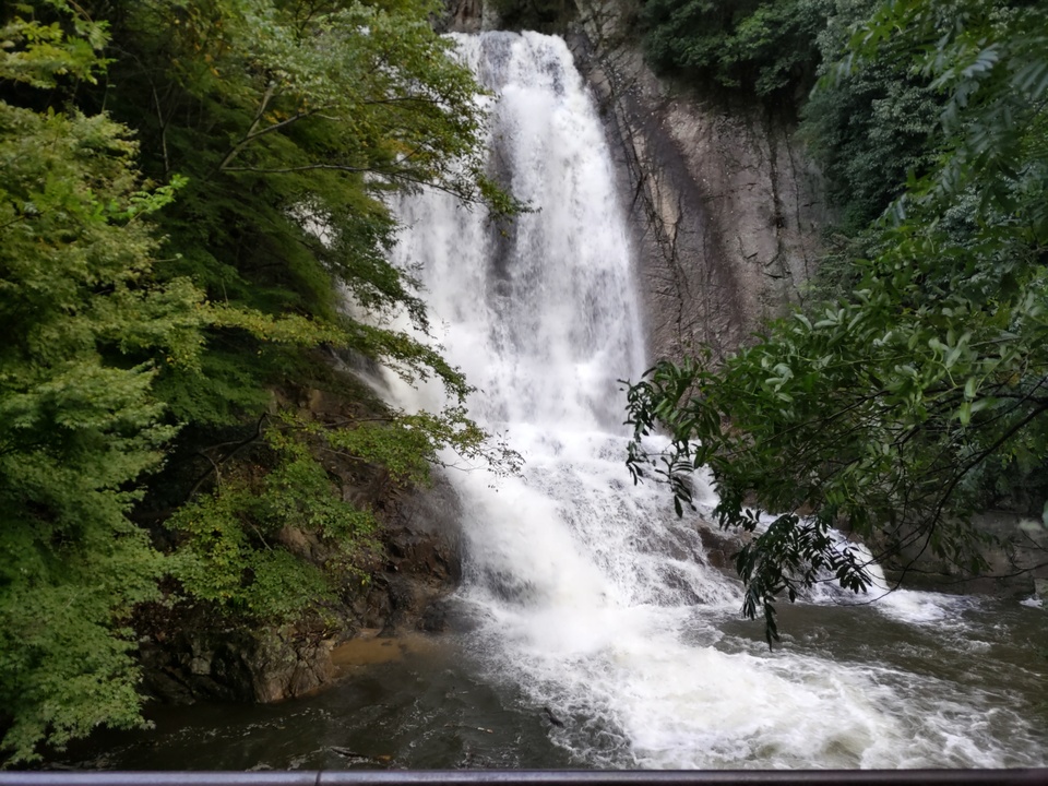DSC_3712_mid.jpg