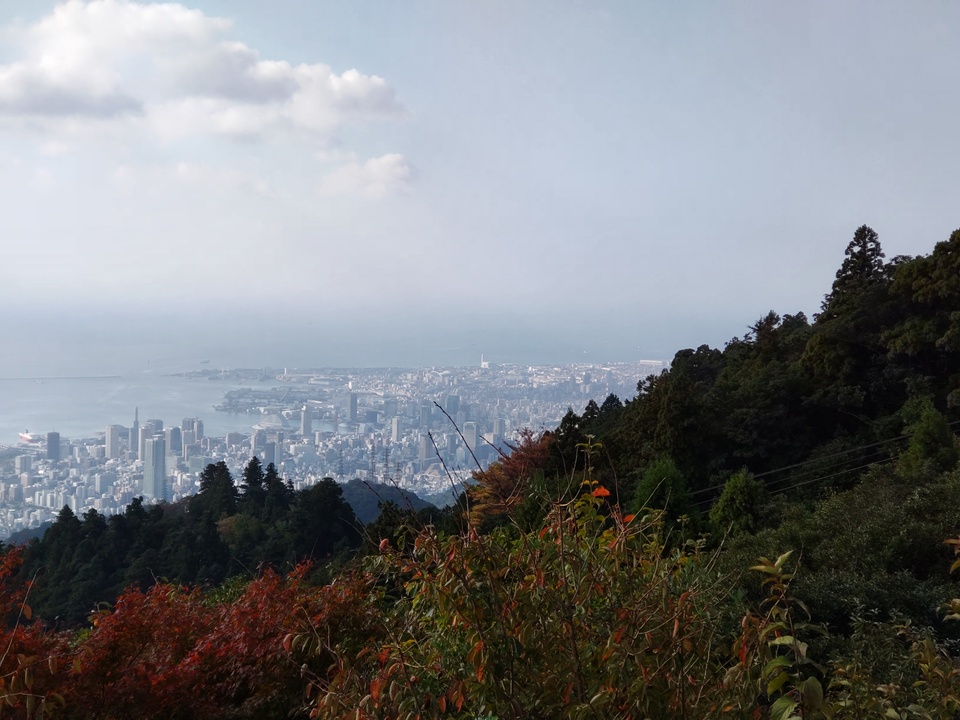 DSC_3730_mid.jpg