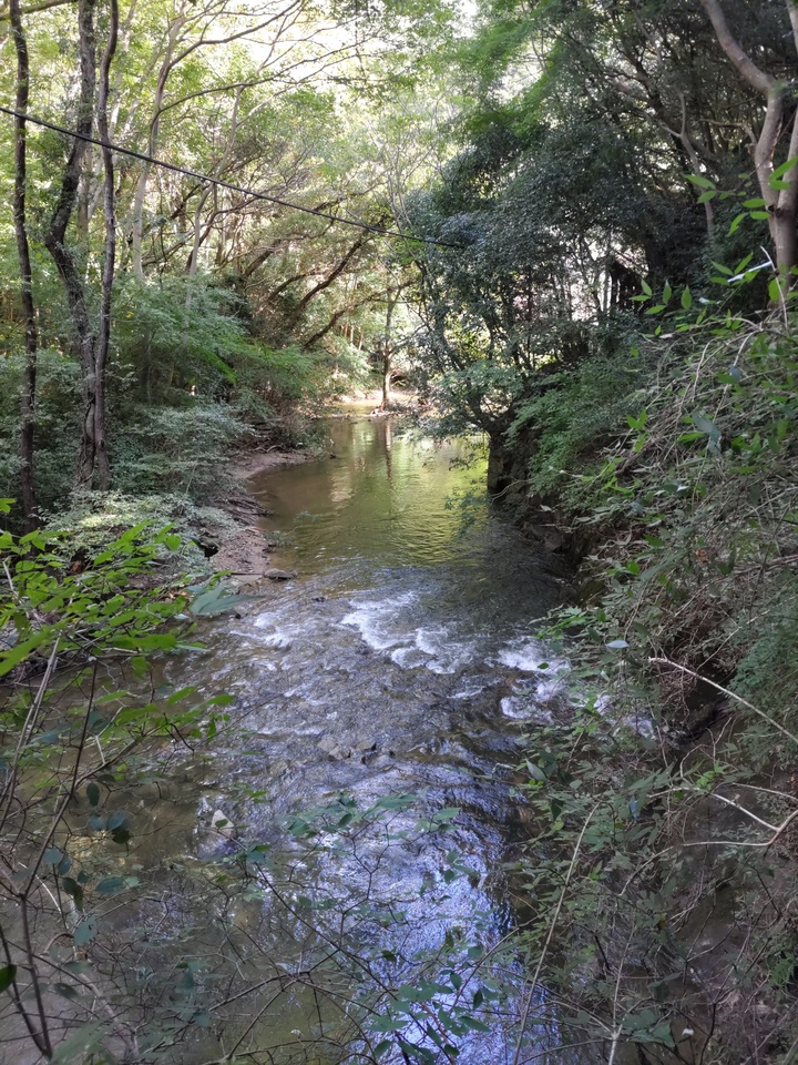 DSC_3751_mid.jpg