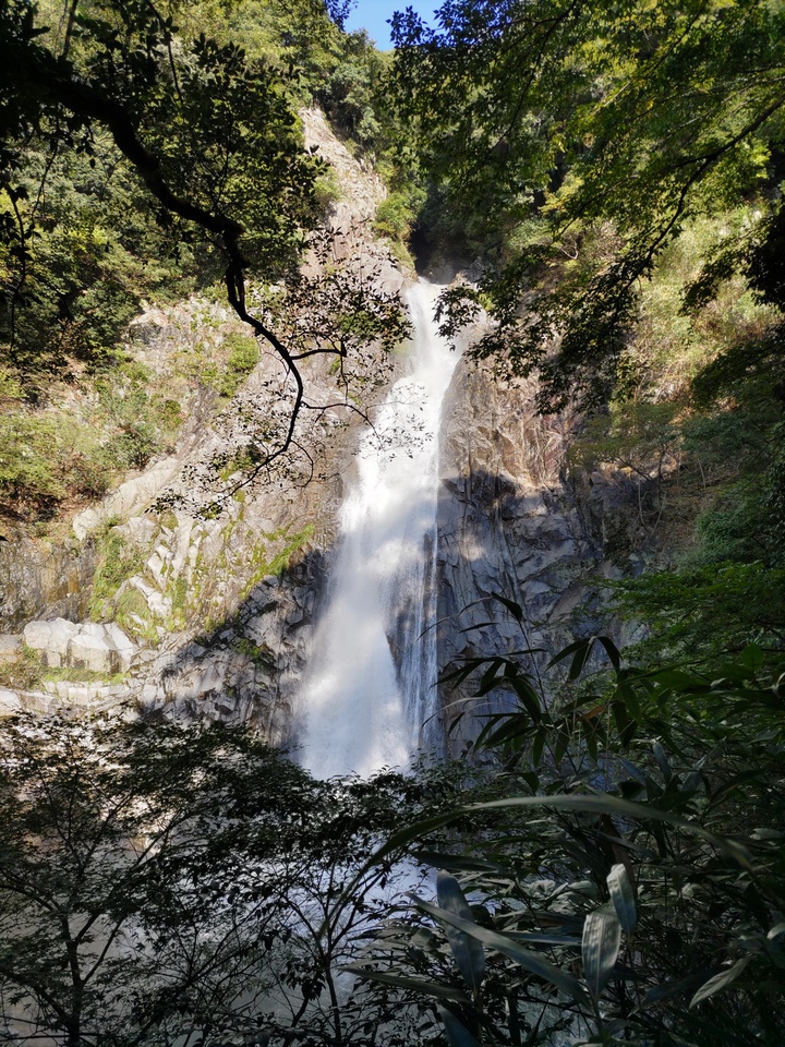 DSC_3755_mid.jpg