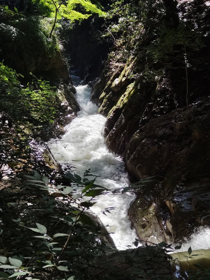 DSC_3763_mid.jpg