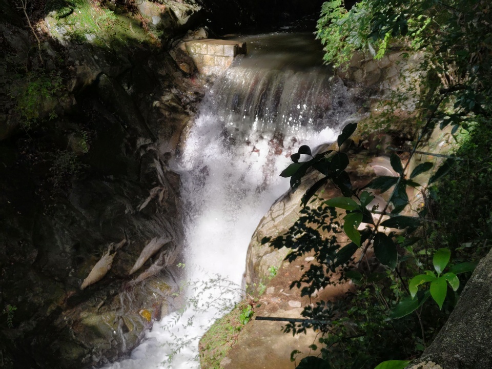 DSC_3765_mid.jpg