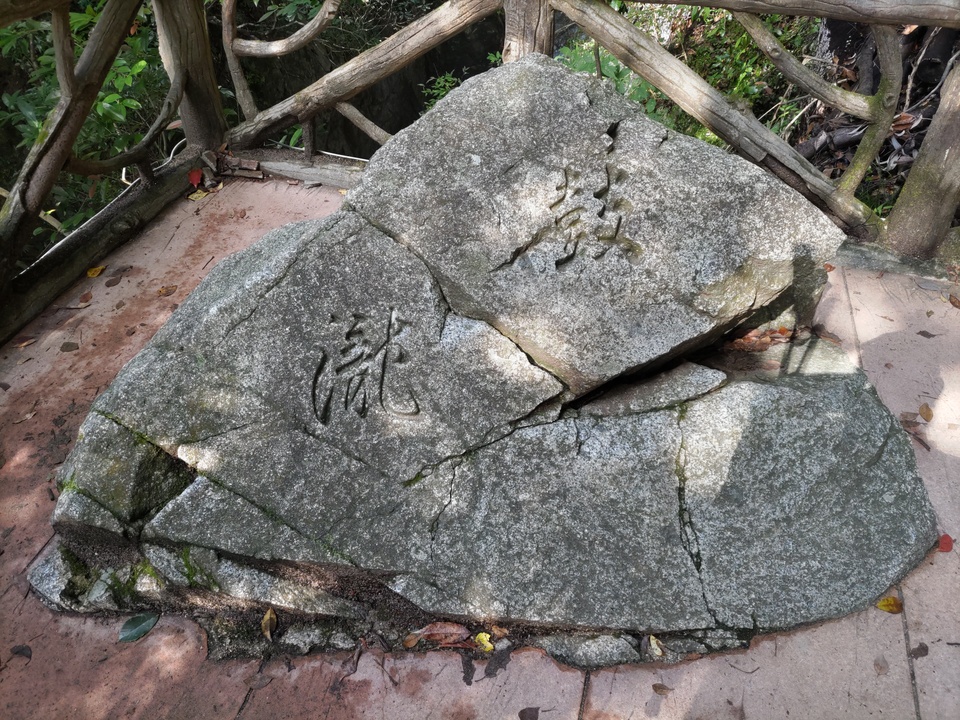 DSC_3769_mid.jpg