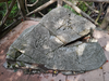 DSC_3769_thumb.png