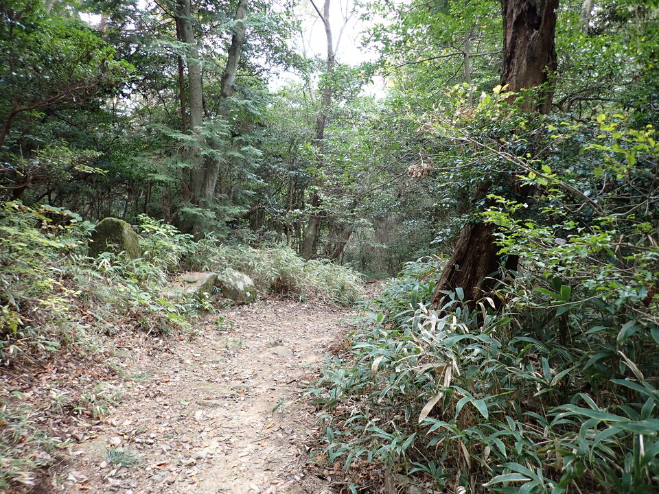 PB248538_mid.jpg