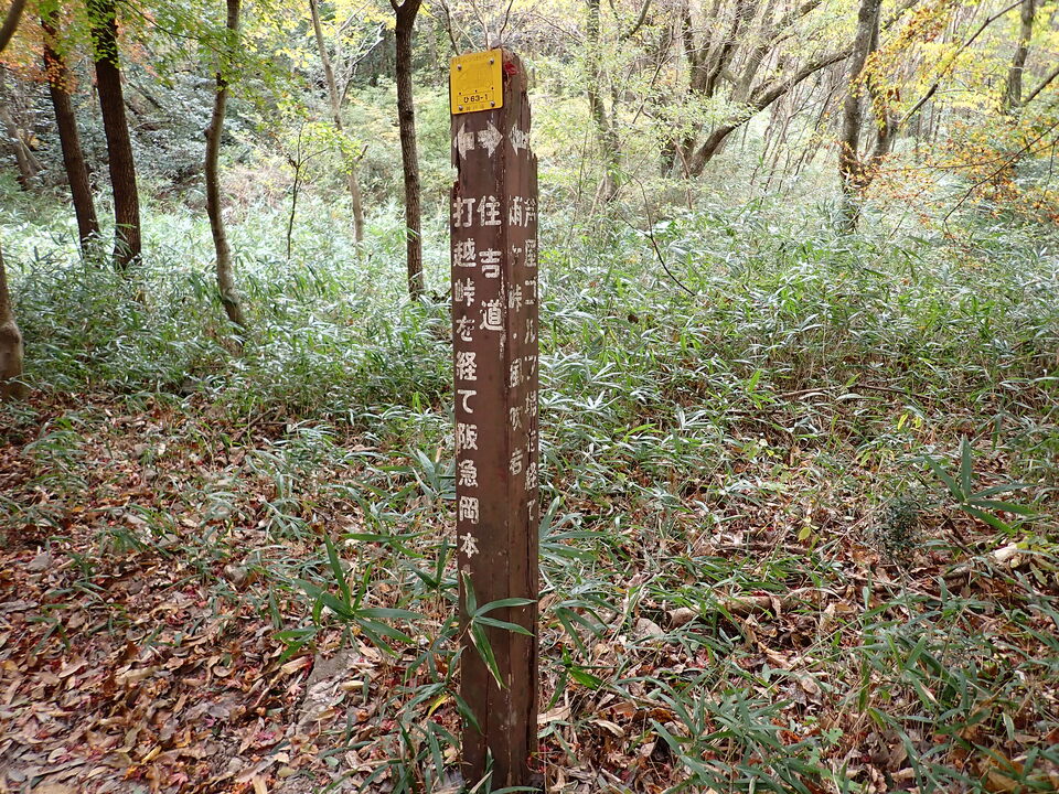PB248627_mid.jpg