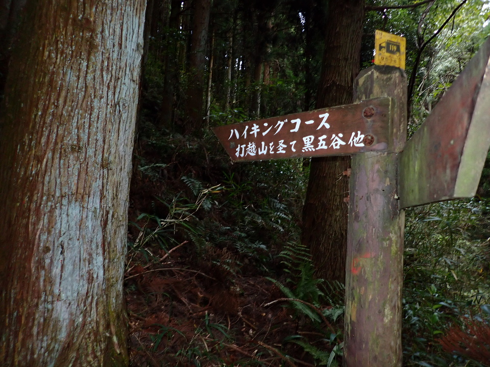 PB248634_mid.jpg