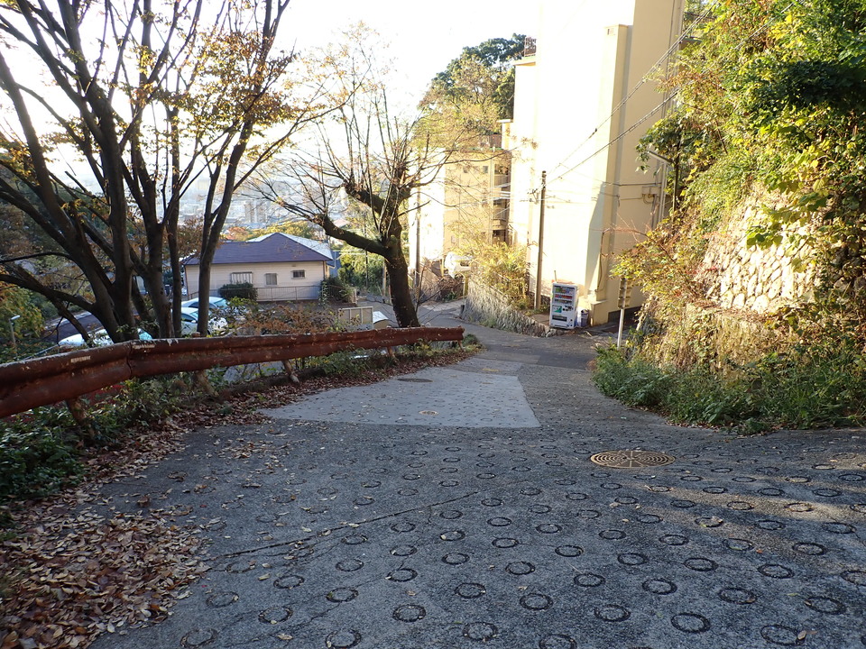 PC018663_mid.jpg