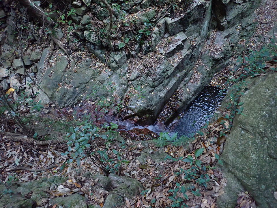 PC018669_mid.jpg