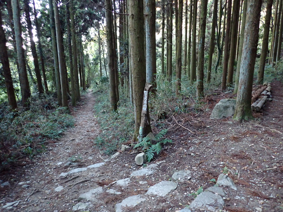 PC018677_mid.jpg