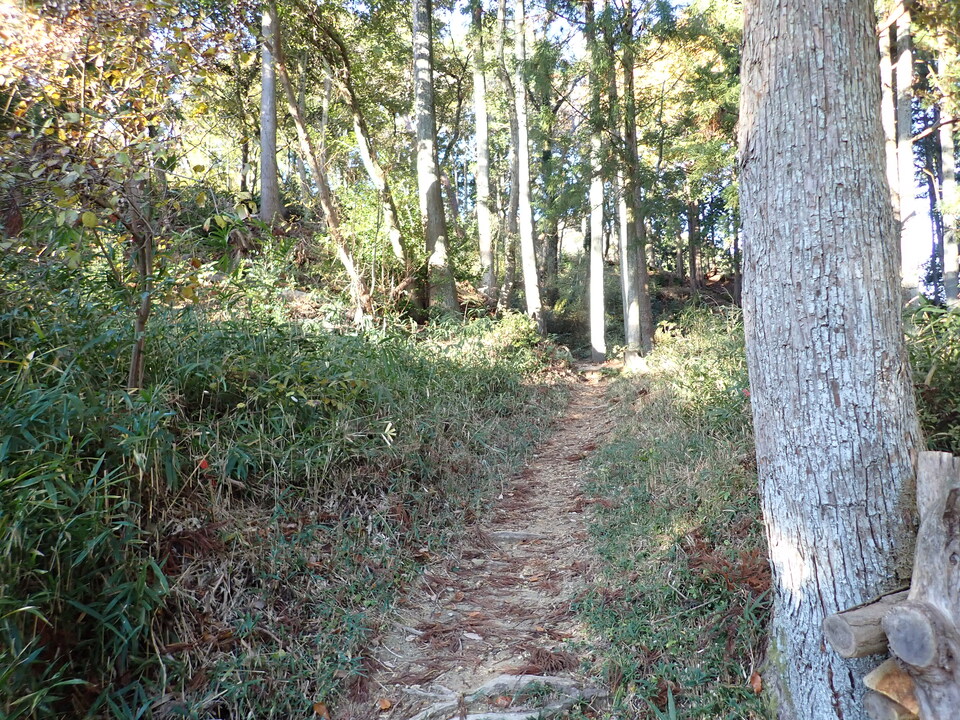 PC018716_mid.jpg