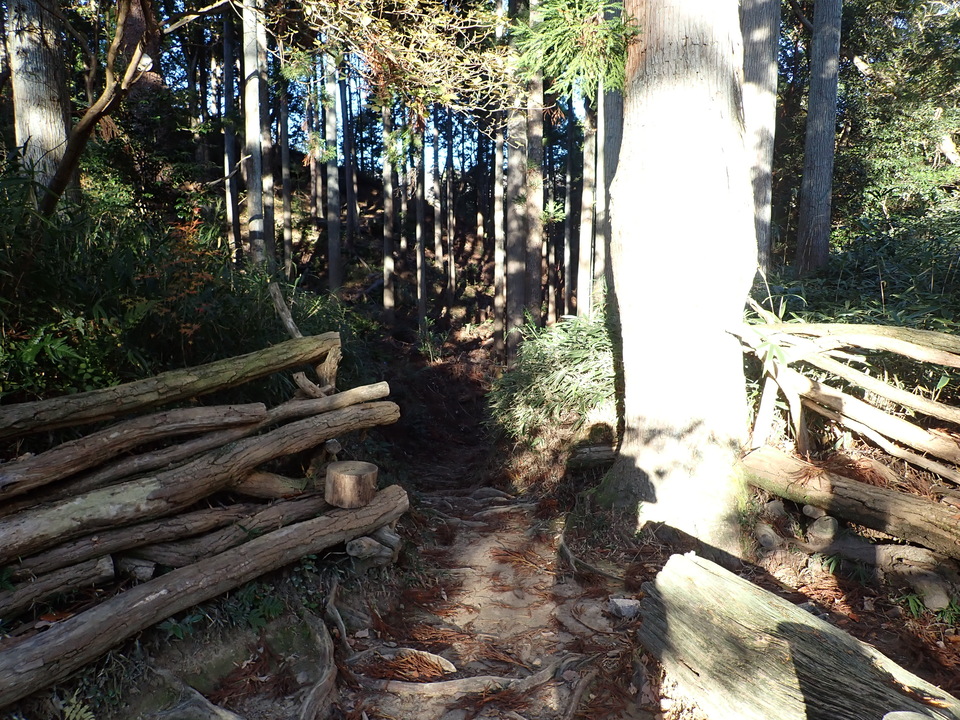 PC018717_mid.jpg