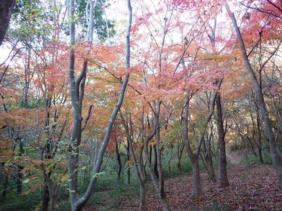 PC018725_mid.jpg