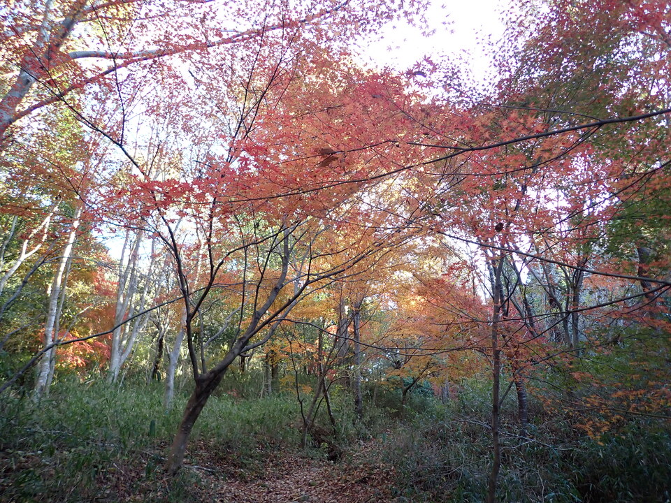 PC018729_mid.jpg