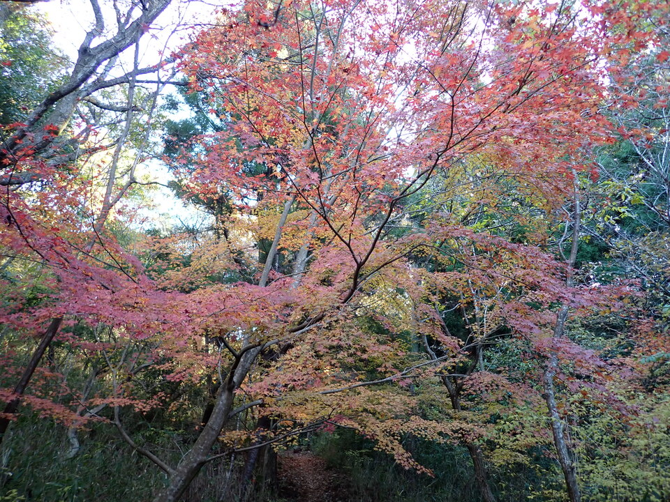 PC018734_mid.jpg