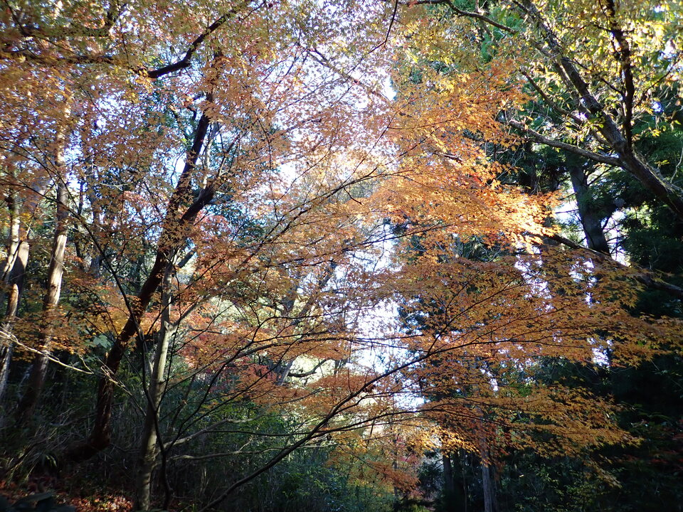 PC018736_mid.jpg