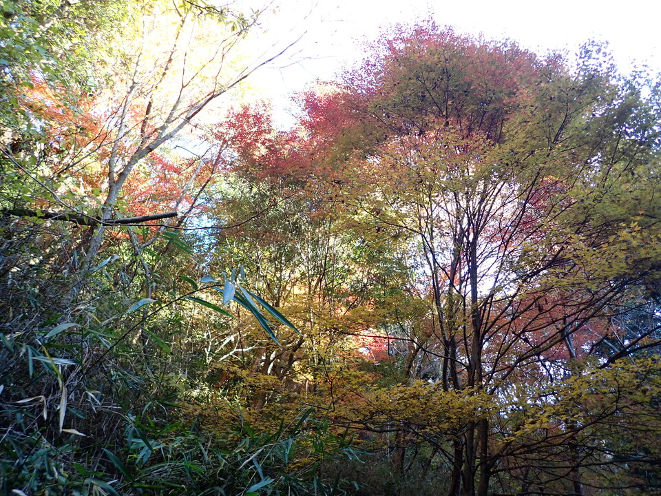 PC018739_mid.jpg