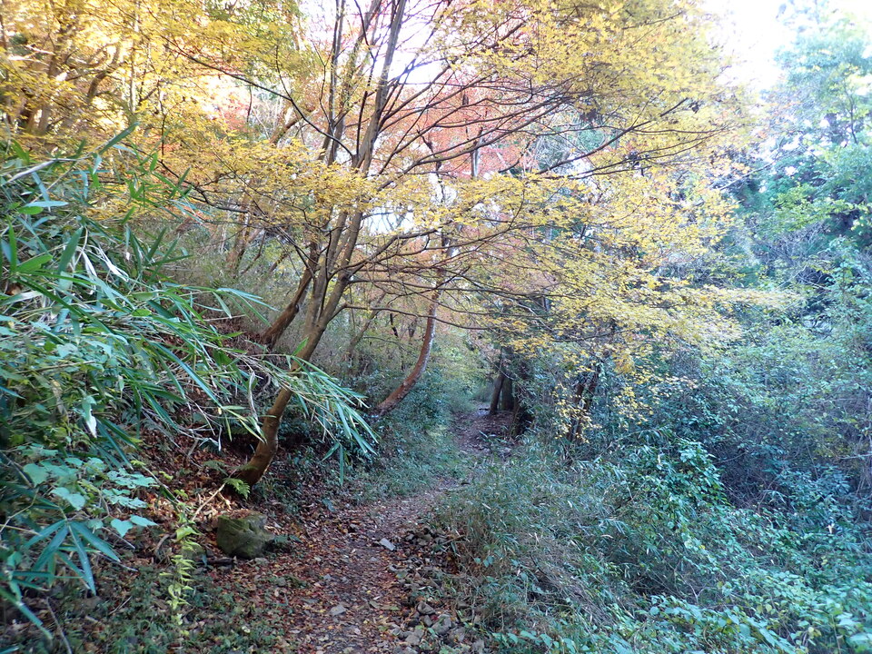 PC018741_mid.jpg
