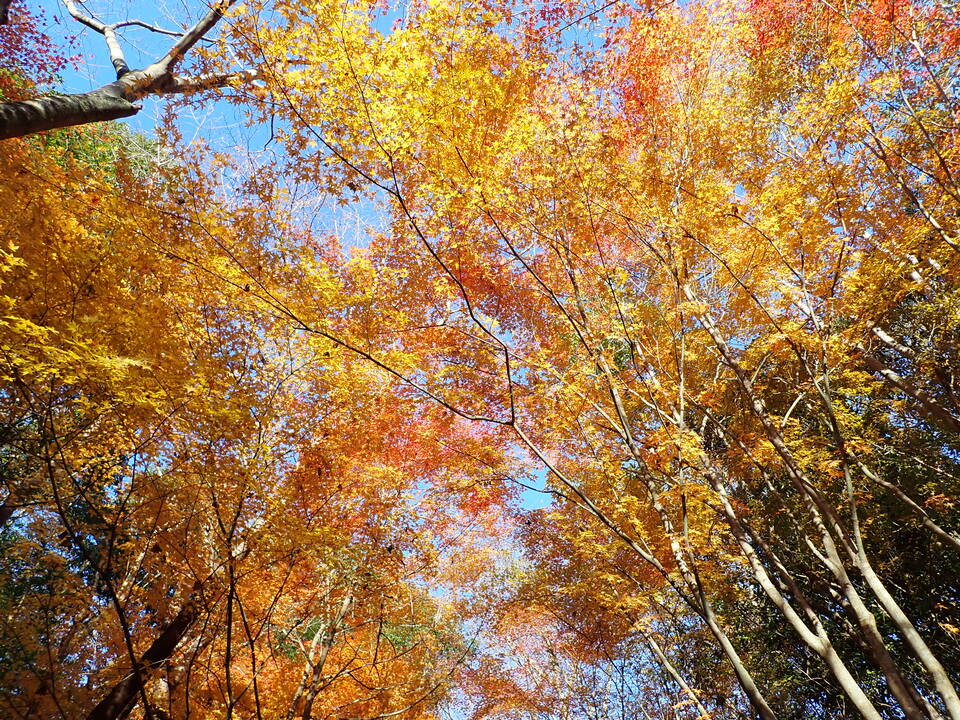 PC018755_mid.jpg